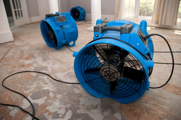 Carpet water damage restoration in Old Forge, PA