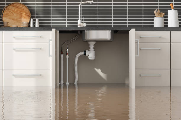 Best Flood damage cleanup  in Old Forge, PA